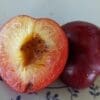Fruit du prune x cerise sugar twist